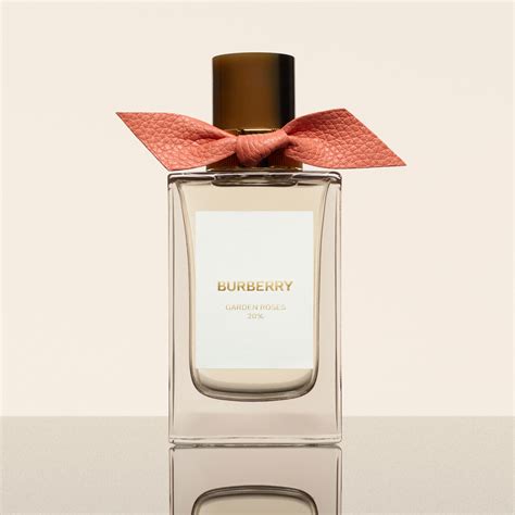 Burberry signatures perfume